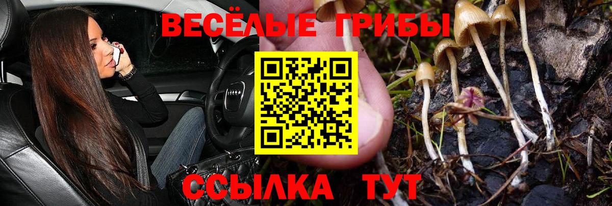 COCAIN Заволжье