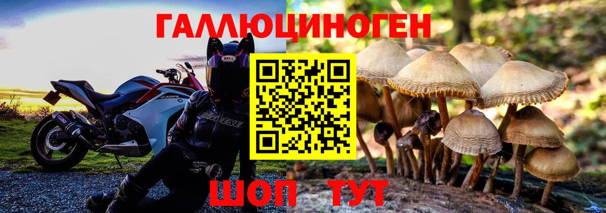 Псилоцибиновые грибы MAGIC MUSHROOMS Заволжье