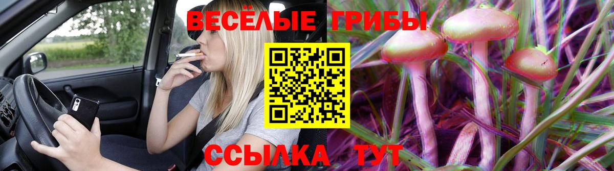 Галлюциногенные грибы Cubensis  Галлюциногенные грибы Magic Shrooms  Вход с VPN  Заволжье 